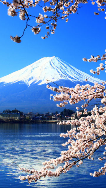 金運が上がる富士山の画像