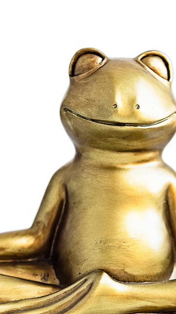 金運が上がる金のカエルの画像