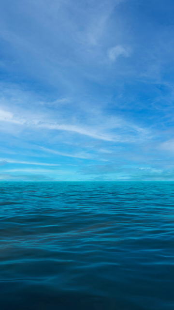 妊娠する海の画像